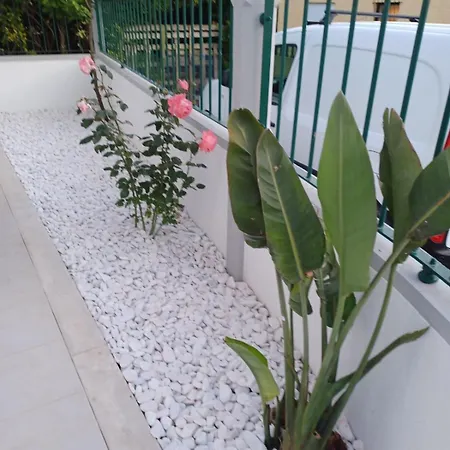 Casa vacanze Lagoon & Country Side Ílhavo