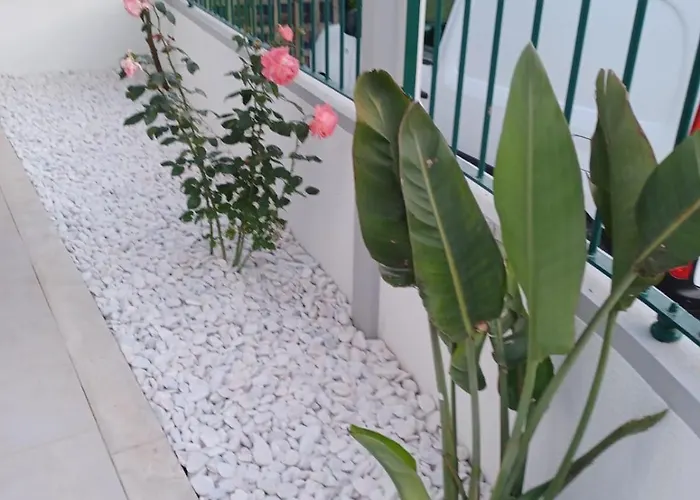 Casa vacanze Lagoon & Country Side Ílhavo