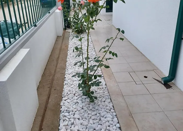 Casa vacanze Lagoon & Country Side *